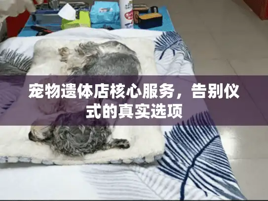 宠物遗体店核心服务，告别仪式的真实选项
