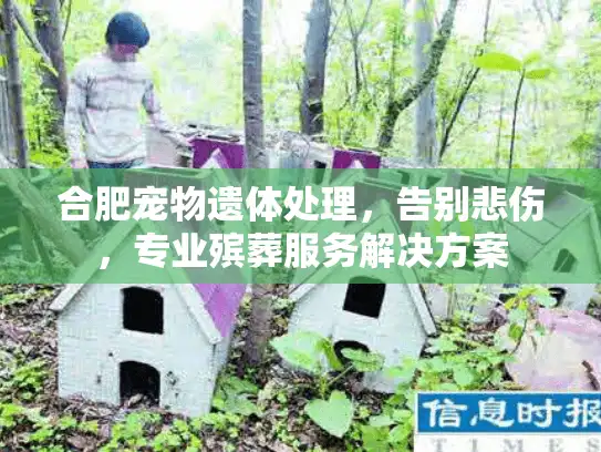 合肥宠物遗体处理，告别悲伤，专业殡葬服务解决方案