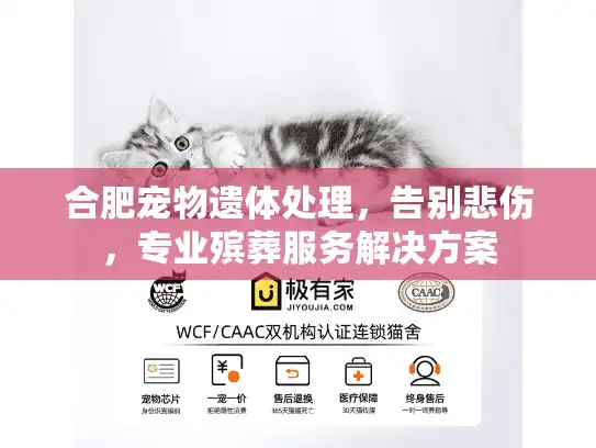 合肥宠物遗体处理，告别悲伤，专业殡葬服务解决方案