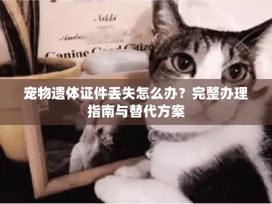 宠物遗体证件丢失怎么办？完整办理指南与替代方案