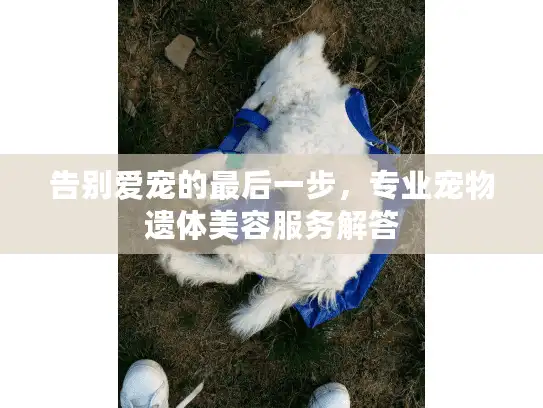 告别爱宠的最后一步，专业宠物遗体美容服务解答