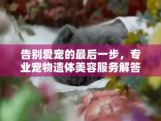 告别爱宠的最后一步，专业宠物遗体美容服务解答