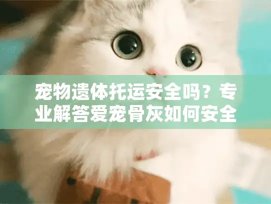 宠物遗体托运安全吗？专业解答爱宠骨灰如何安全运输