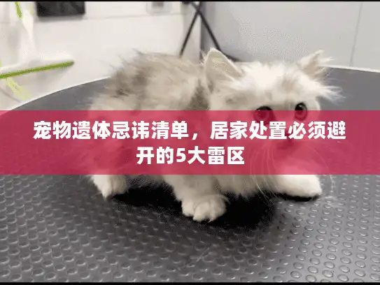 宠物遗体忌讳清单，居家处置必须避开的5大雷区