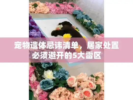 宠物遗体忌讳清单，居家处置必须避开的5大雷区