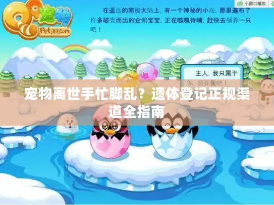 宠物离世手忙脚乱？遗体登记正规渠道全指南