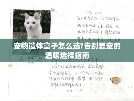 宠物遗体盒子怎么选?告别爱宠的温暖选择指南