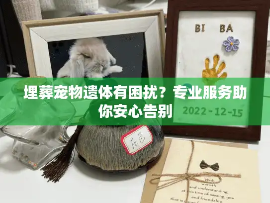 埋葬宠物遗体有困扰？专业服务助你安心告别
