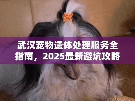 武汉宠物遗体处理服务全指南，2025最新避坑攻略