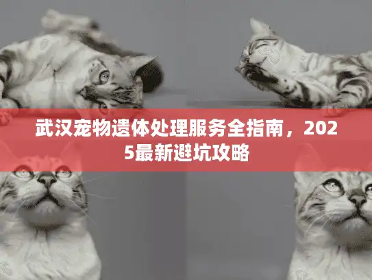 武汉宠物遗体处理服务全指南，2025最新避坑攻略
