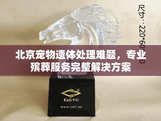 北京宠物遗体处理难题，专业殡葬服务完整解决方案