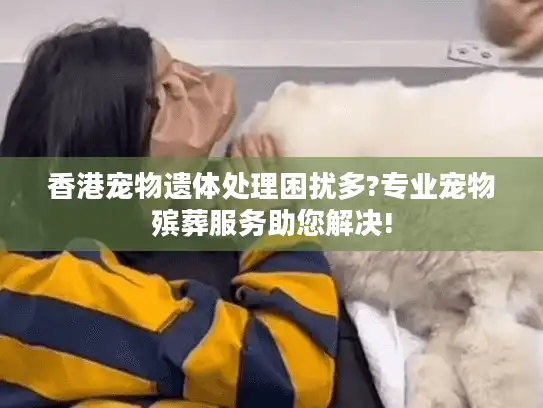 香港宠物遗体处理困扰多?专业宠物殡葬服务助您解决!