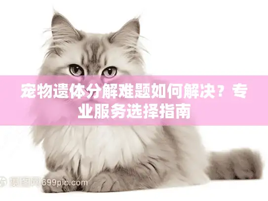 宠物遗体分解难题如何解决？专业服务选择指南