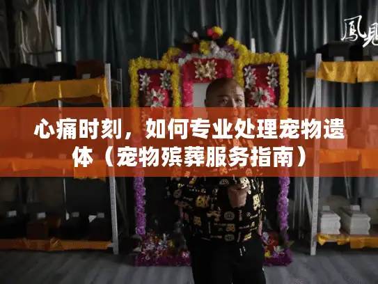 心痛时刻，如何专业处理宠物遗体（宠物殡葬服务指南）