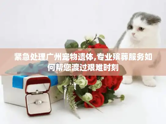 紧急处理广州宠物遗体,专业殡葬服务如何帮您渡过艰难时刻