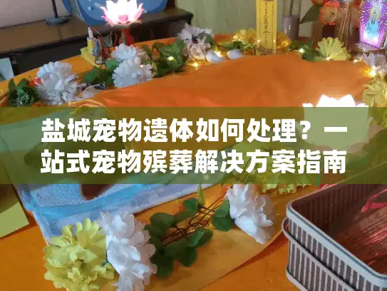 盐城宠物遗体如何处理？一站式宠物殡葬解决方案指南