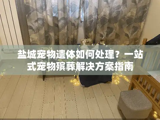 盐城宠物遗体如何处理？一站式宠物殡葬解决方案指南
