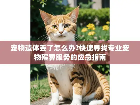 宠物遗体丢了怎么办?快速寻找专业宠物殡葬服务的应急指南