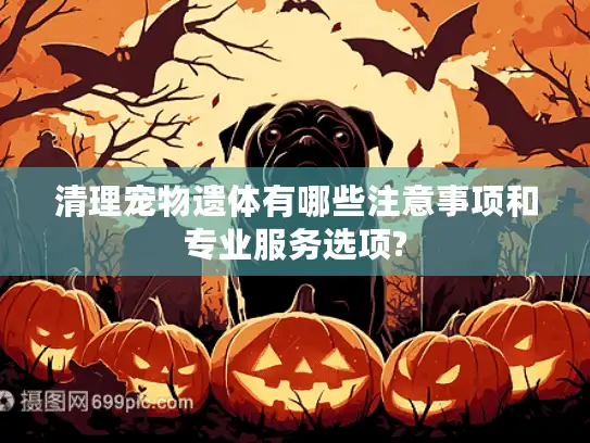 清理宠物遗体有哪些注意事项和专业服务选项?