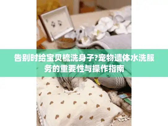 告别时给宝贝梳洗身子?宠物遗体水洗服务的重要性与操作指南