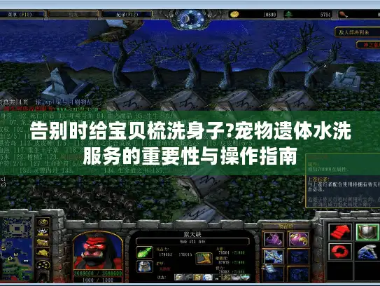 告别时给宝贝梳洗身子?宠物遗体水洗服务的重要性与操作指南