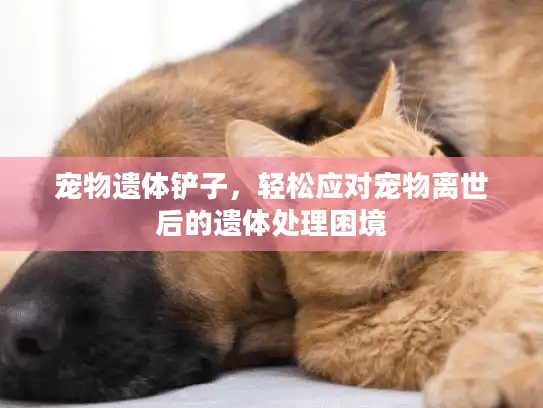 宠物遗体铲子，轻松应对宠物离世后的遗体处理困境