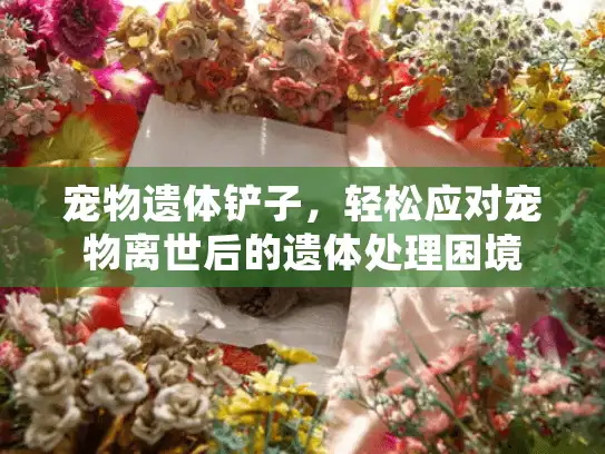 宠物遗体铲子，轻松应对宠物离世后的遗体处理困境