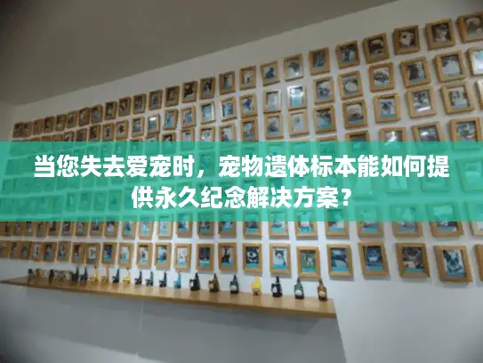 当您失去爱宠时，宠物遗体标本能如何提供永久纪念解决方案？