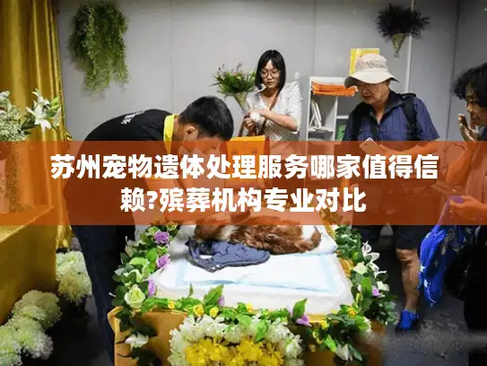 苏州宠物遗体处理服务哪家值得信赖?殡葬机构专业对比