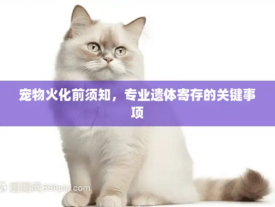 宠物火化前须知，专业遗体寄存的关键事项