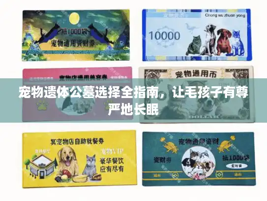 宠物遗体公墓选择全指南，让毛孩子有尊严地长眠