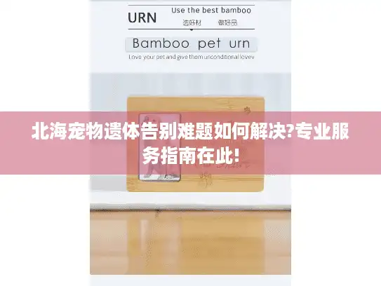 北海宠物遗体告别难题如何解决?专业服务指南在此!