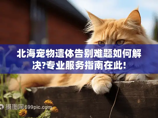 北海宠物遗体告别难题如何解决?专业服务指南在此!