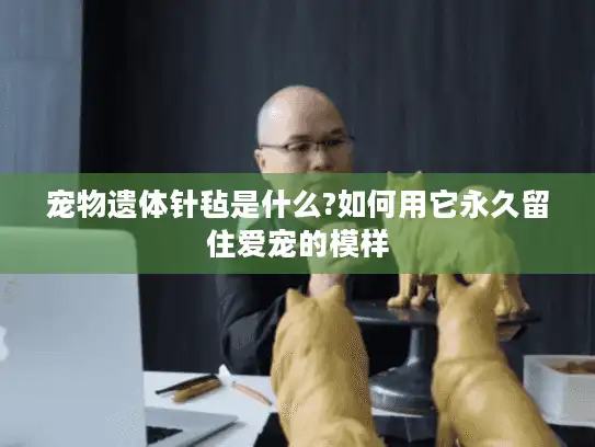 宠物遗体针毡是什么?如何用它永久留住爱宠的模样
