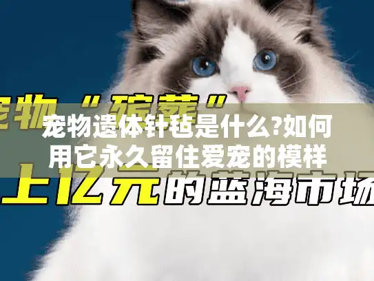 宠物遗体针毡是什么?如何用它永久留住爱宠的模样