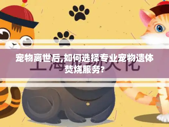 宠物离世后,如何选择专业宠物遗体焚烧服务?
