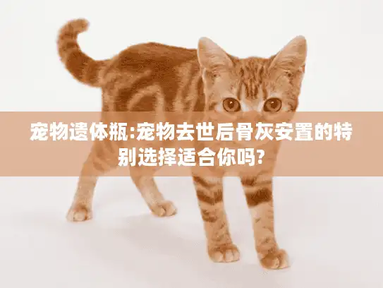 宠物遗体瓶:宠物去世后骨灰安置的特别选择适合你吗?