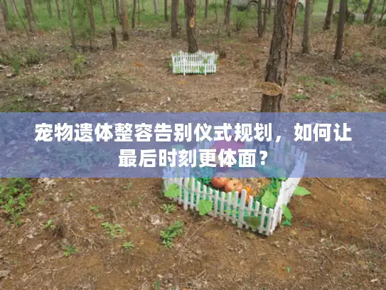 宠物遗体整容告别仪式规划，如何让最后时刻更体面？