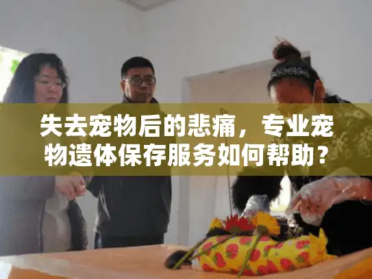 失去宠物后的悲痛，专业宠物遗体保存服务如何帮助？