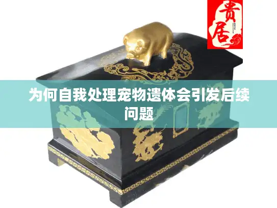 为何自我处理宠物遗体会引发后续问题