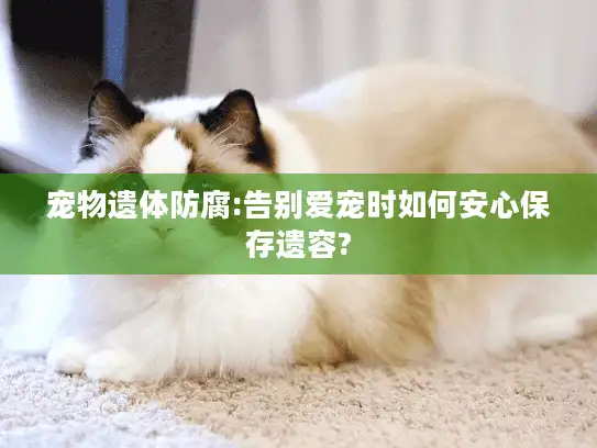 宠物遗体防腐:告别爱宠时如何安心保存遗容?