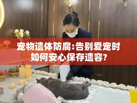 宠物遗体防腐:告别爱宠时如何安心保存遗容?