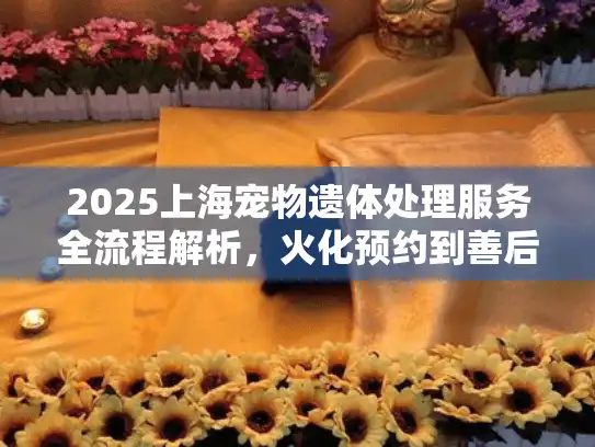 2025上海宠物遗体处理服务全流程解析，火化预约到善后指南