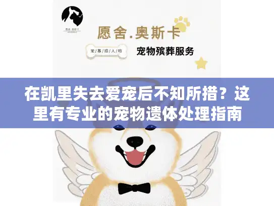 在凯里失去爱宠后不知所措？这里有专业的宠物遗体处理指南