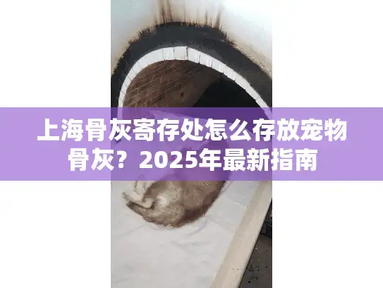 上海骨灰寄存处怎么存放宠物骨灰？2025年最新指南