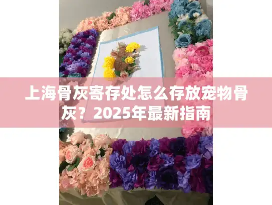 上海骨灰寄存处怎么存放宠物骨灰？2025年最新指南