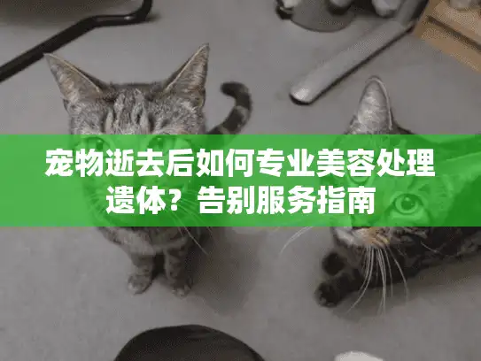 宠物逝去后如何专业美容处理遗体？告别服务指南
