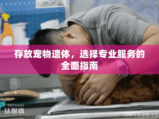 存放宠物遗体，选择专业服务的全面指南