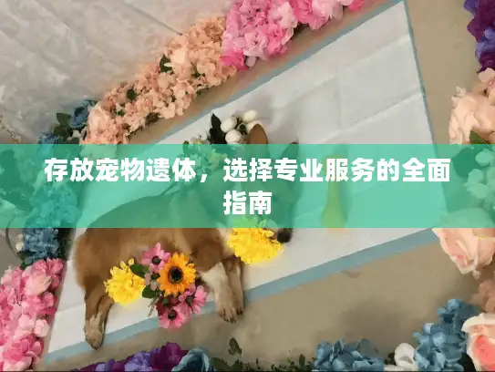 存放宠物遗体，选择专业服务的全面指南