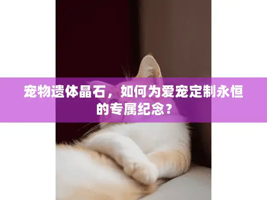 宠物遗体晶石，如何为爱宠定制永恒的专属纪念？